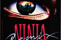 ninja_remix_ubi-soft_1990