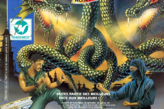 Double Dragon 3 - Storm Software (1991)