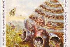 Hive - Firebird (1987)